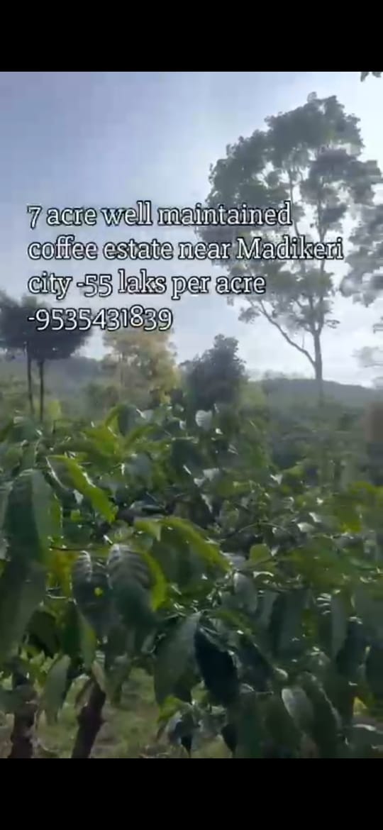 *property id 5179*  🆔 *Exclusive 7 Acre Premium Coffee Estate – Near Madikeri*
